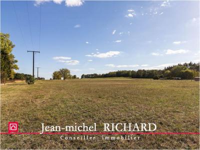 Acheter Terrain Chabris 23490 euros