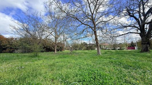Acheter Terrain 1000 m2 Villaudric