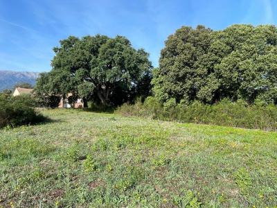 For sale Ghisonaccia 900 m2 Corse (20240) photo 1