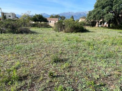 For sale Ghisonaccia 900 m2 Corse (20240) photo 2
