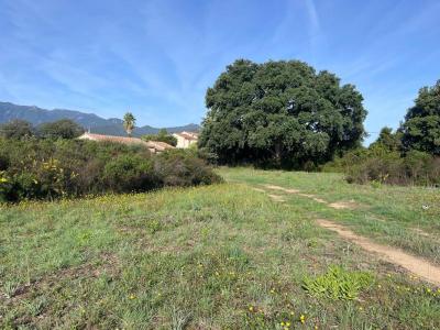 For sale Ghisonaccia 900 m2 Corse (20240) photo 4