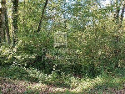 Annonce Vente Terrain Montgesty 46