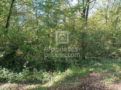 Acheter Terrain 4515 m2 Montgesty