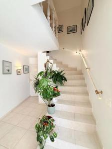For sale Six-fours-les-plages 6 rooms 230 m2 Var (83140) photo 4