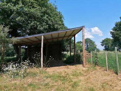 Annonce Vente Terrain Loyat 56