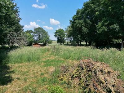 Acheter Terrain Loyat Morbihan
