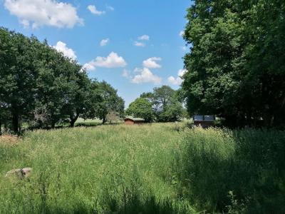Acheter Terrain Loyat 28000 euros