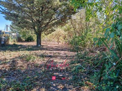 Annonce Vente Terrain Artenay 45