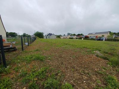 Acheter Terrain Tourouvre 36990 euros