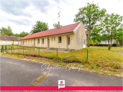 Annonce Vente 6 pi�ces Maison Pruniers-en-sologne 41