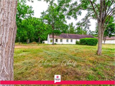 Acheter Maison 80 m2 Pruniers-en-sologne