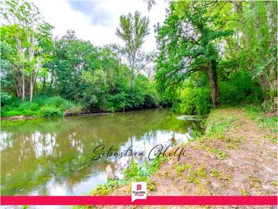 Annonce Vente Terrain Pruniers-en-sologne 41