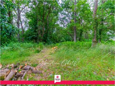 Acheter Terrain 6600 m2 Pruniers-en-sologne