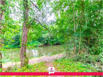 Acheter Terrain Pruniers-en-sologne Loir et cher