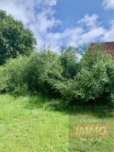 Annonce Vente 8 pi�ces Maison Chatre-langlin 36