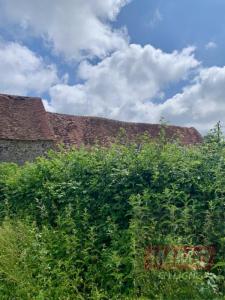 Acheter Maison 150 m2 Chatre-langlin