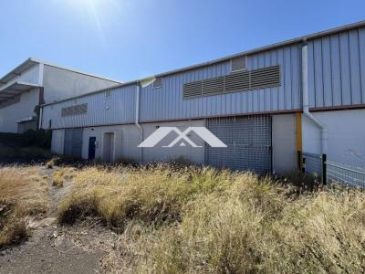 Annonce Location Commerce Saint-pierre 974