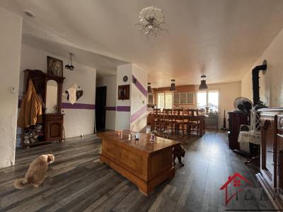 Annonce Vente 5 pi�ces Maison Marnay-sur-marne 52