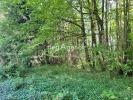 For sale Land Saint-leon-sur-l'isle  1800 m2