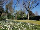 For sale Land Margaux  750 m2