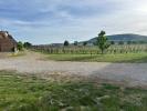 For sale House Hattstatt  90 m2