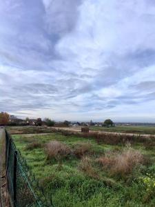 Acheter Terrain  299000 euros