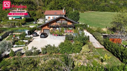 Annonce Vente 6 pi�ces Maison Collonges 01