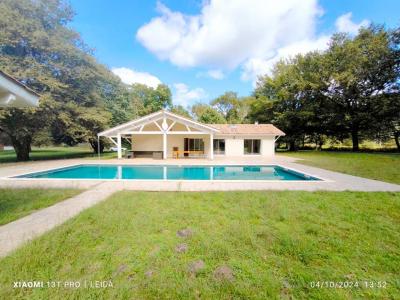 Annonce Vente 7 pi�ces Maison Castets 40
