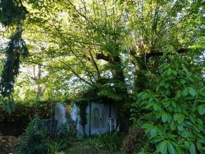 For sale Briare 3 rooms 67 m2 Loiret (45250) photo 3
