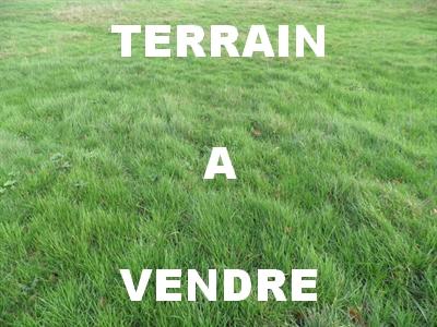 For sale Ancenis VAIR-SUR-LOIRE 545 m2 Loire atlantique (44150) photo 0