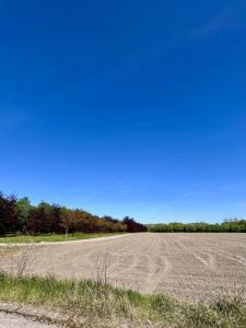 For sale Quarouble 605 m2 Nord (59243) photo 0