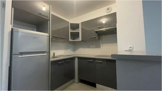 Annonce Location 3 pi�ces Maison Tournefeuille 31