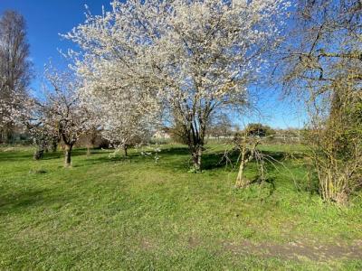 Acheter Maison 114 m2 Aubevoye