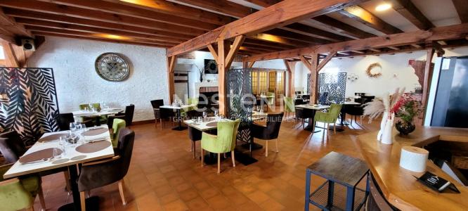 Annonce Vente Commerce Mont-pres-chambord 41