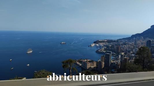 Annonce Vente 2 pi�ces Appartement Roquebrune-cap-martin 06