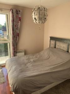 Louer Appartement Merignac 870 euros