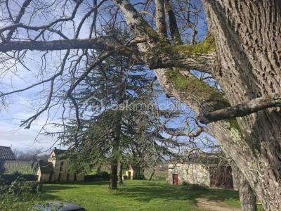 Acheter Maison Ruch Gironde