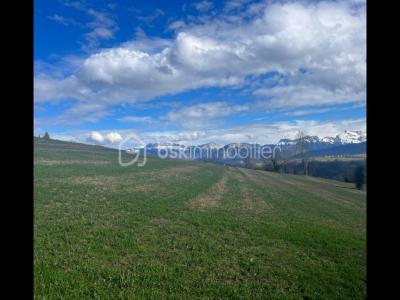 Annonce Vente Terrain Lovagny 74