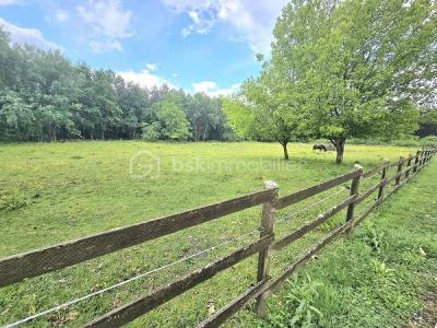 Acheter Maison Bayas 519000 euros