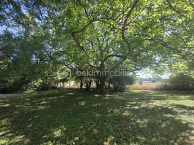 Acheter Maison 80 m2 Dordives