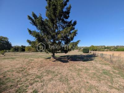 Annonce Vente 4 pi�ces Maison Trigueres 45