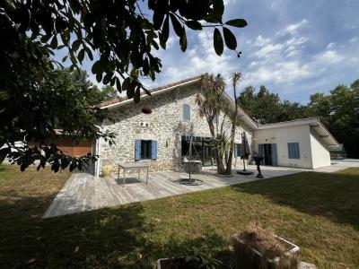Acheter Maison 399 m2 Saint-martin-de-hinx