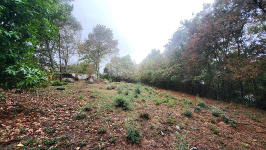For sale Pin-balma 1091 m2 Haute garonne (31130) photo 2