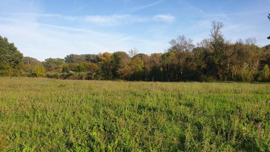 For sale Rochemaure 400 m2 Ardeche (07400) photo 0