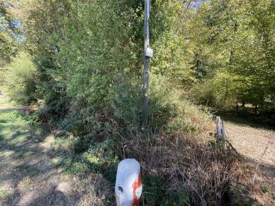 Annonce Vente Terrain Selle-sur-le-bied 45
