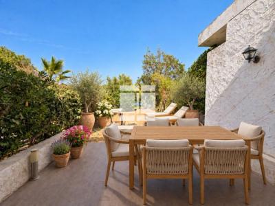 Annonce Vente Maison Lumio 20