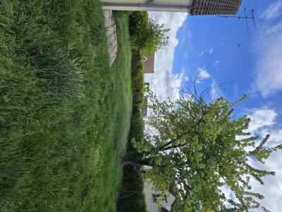 Annonce Location 5 pi�ces Maison Marigny-le-chatel 10