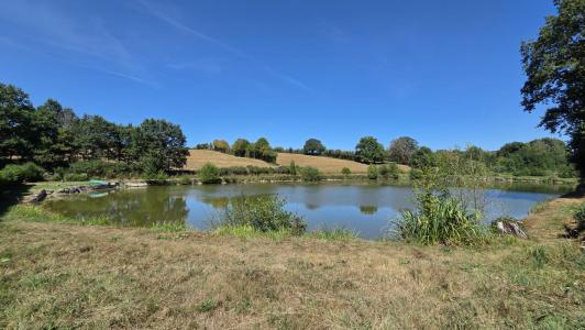 Annonce Vente Terrain Anor 59