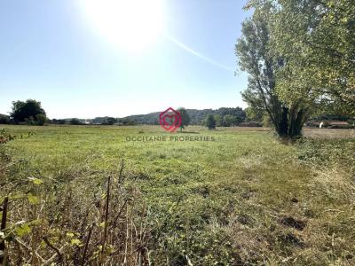 Annonce Vente 8 pi�ces Maison Lodes 31
