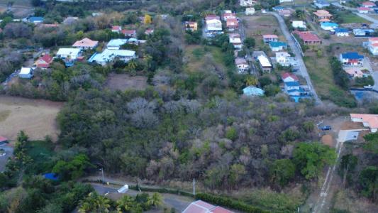 Acheter Terrain Riviere-salee Martinique